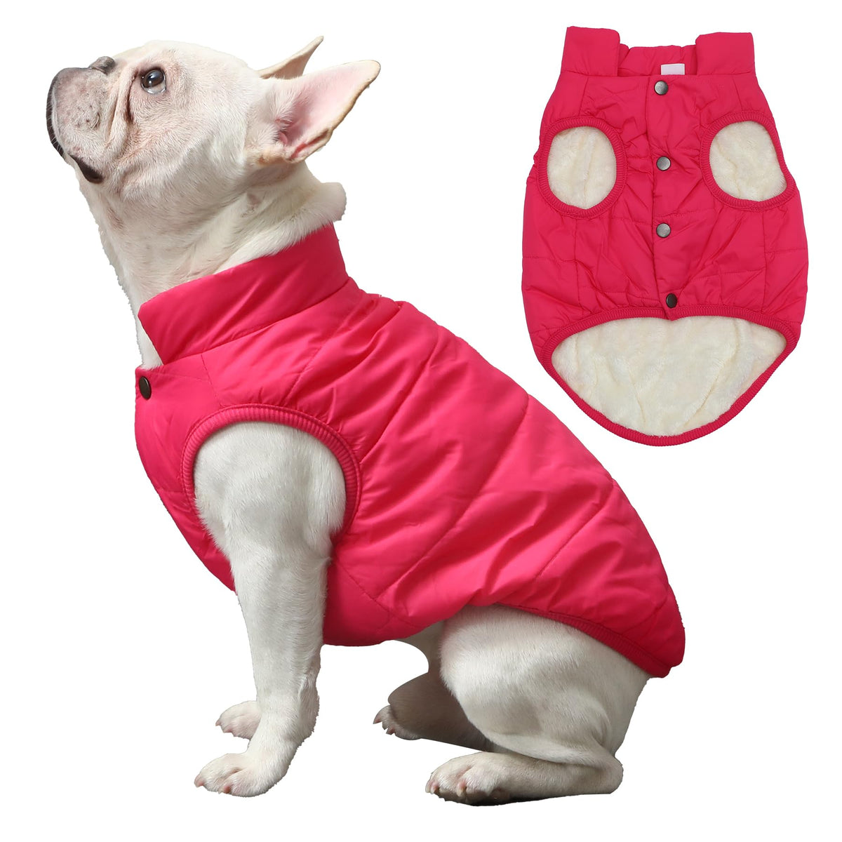 JoyDaog chaqueta para perro, vista frontal rosa M, cálido para paseos