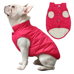 JoyDaog chaqueta para perro, vista frontal rosa M, cálido para paseos