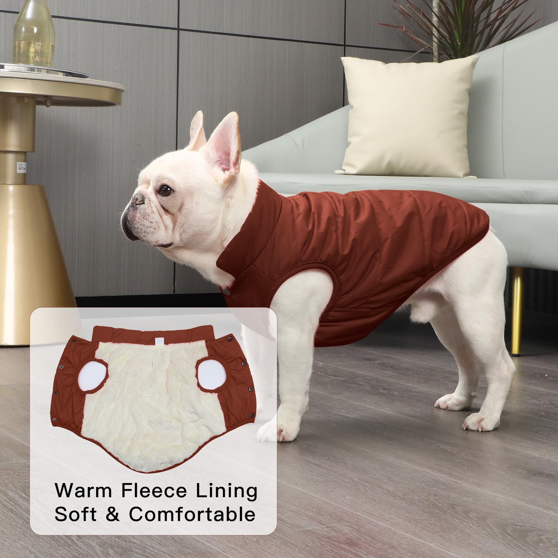 JoyDaog chaqueta para perro, agujero para correa en el cuello, fácil de sujetar