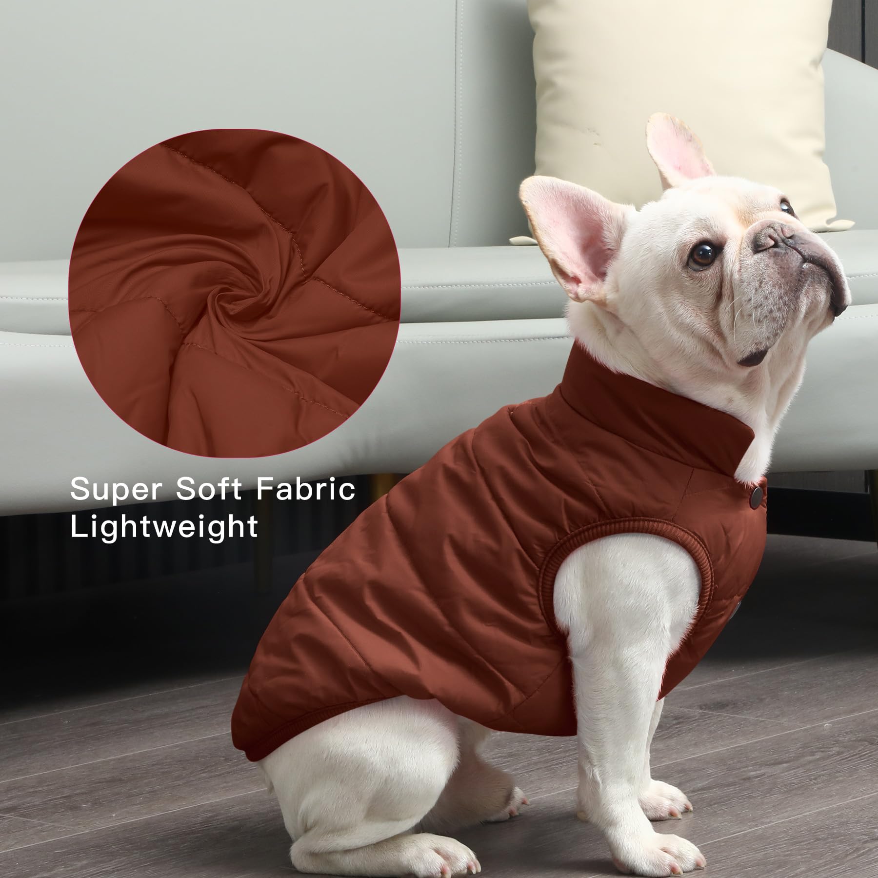 JoyDaog chaqueta para perro, ideal para paseos invernales al aire libre