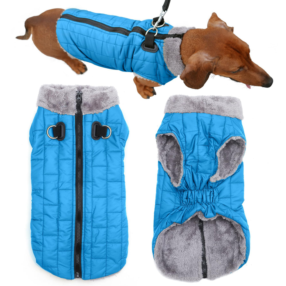JoyDaog chaqueta para perro con arnés integrado, ideal para paseos fríos.