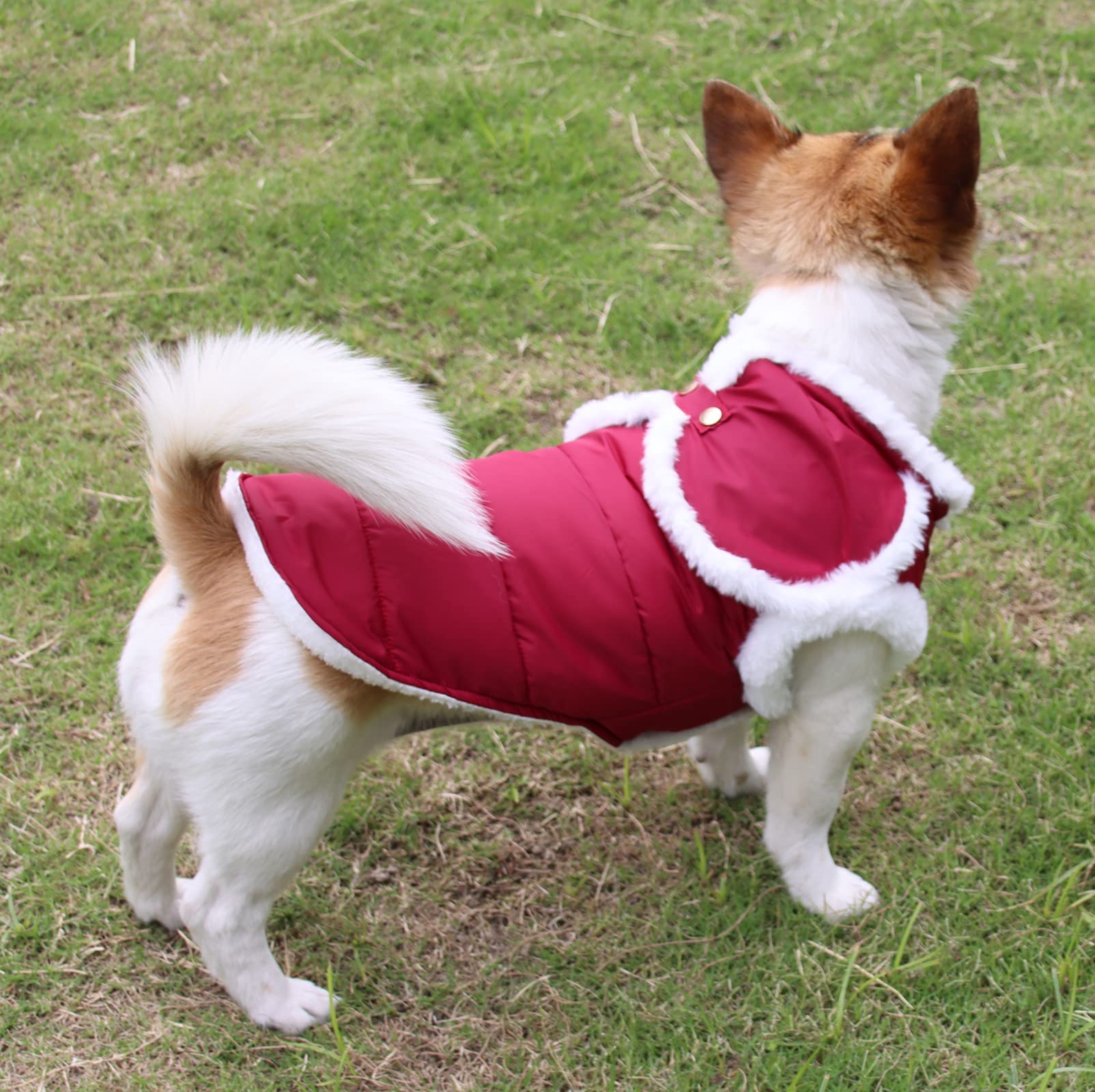 Forro polar JoyDaog mantiene cálido a la mascota durante caminatas