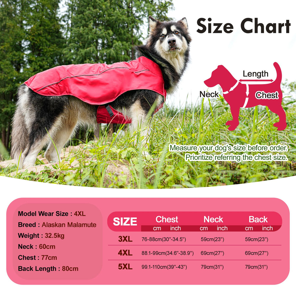 JoyDaog chaqueta con arnés integrado y anillos en D para correa estable