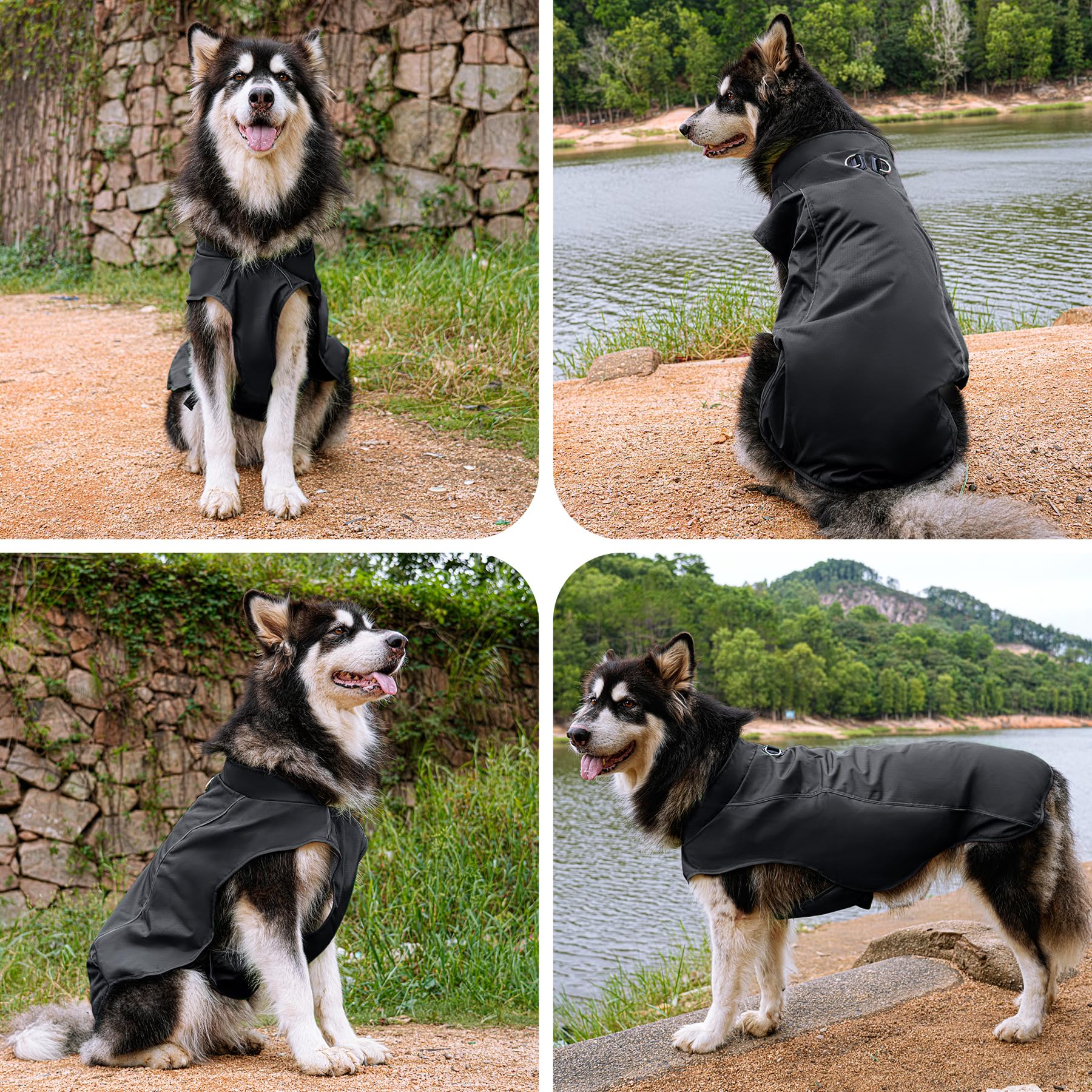 JoyDaog chaqueta para perro grande con cierre lateral para ponérsela fácilmente