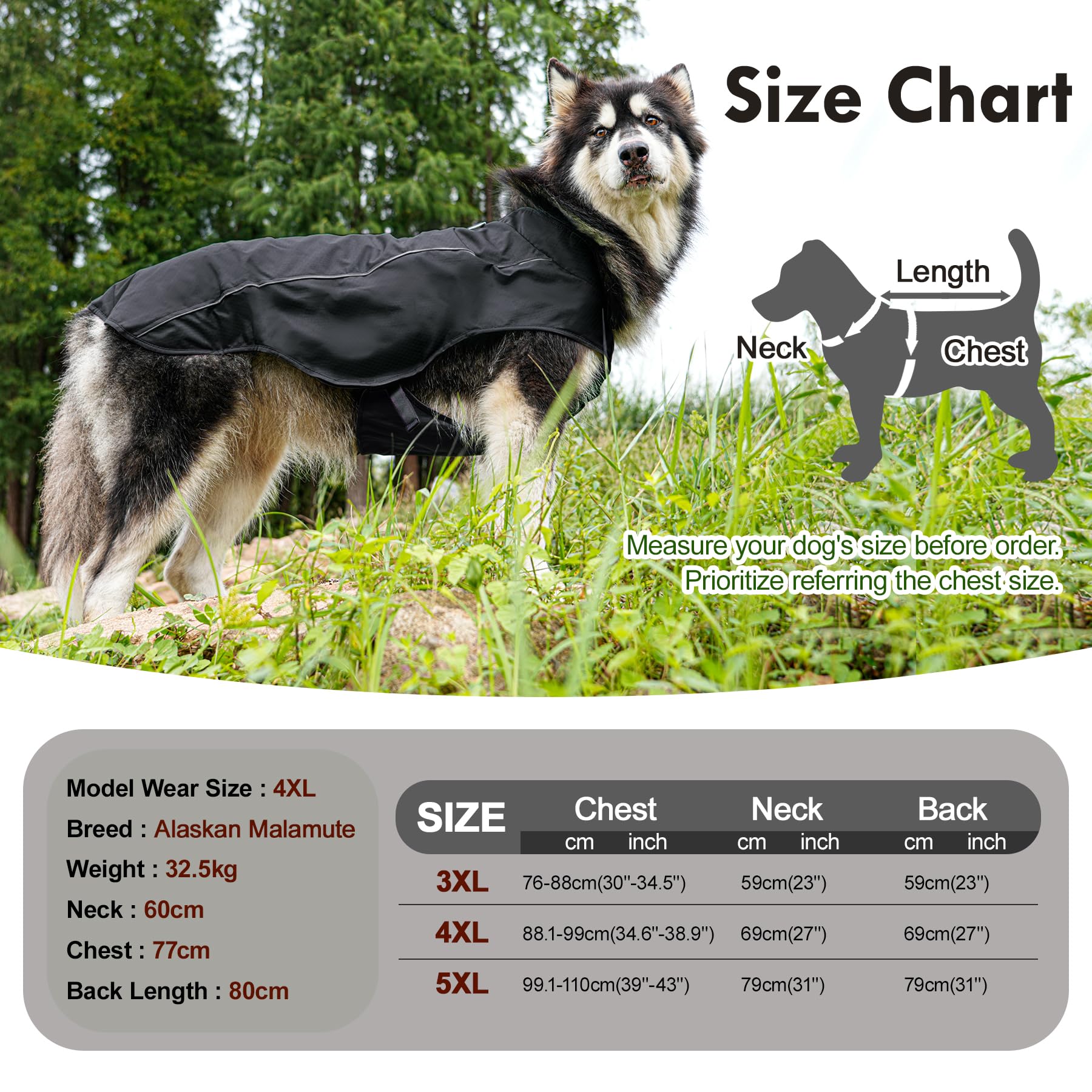 JoyDaog con forro de felpa cálido para días fríos.