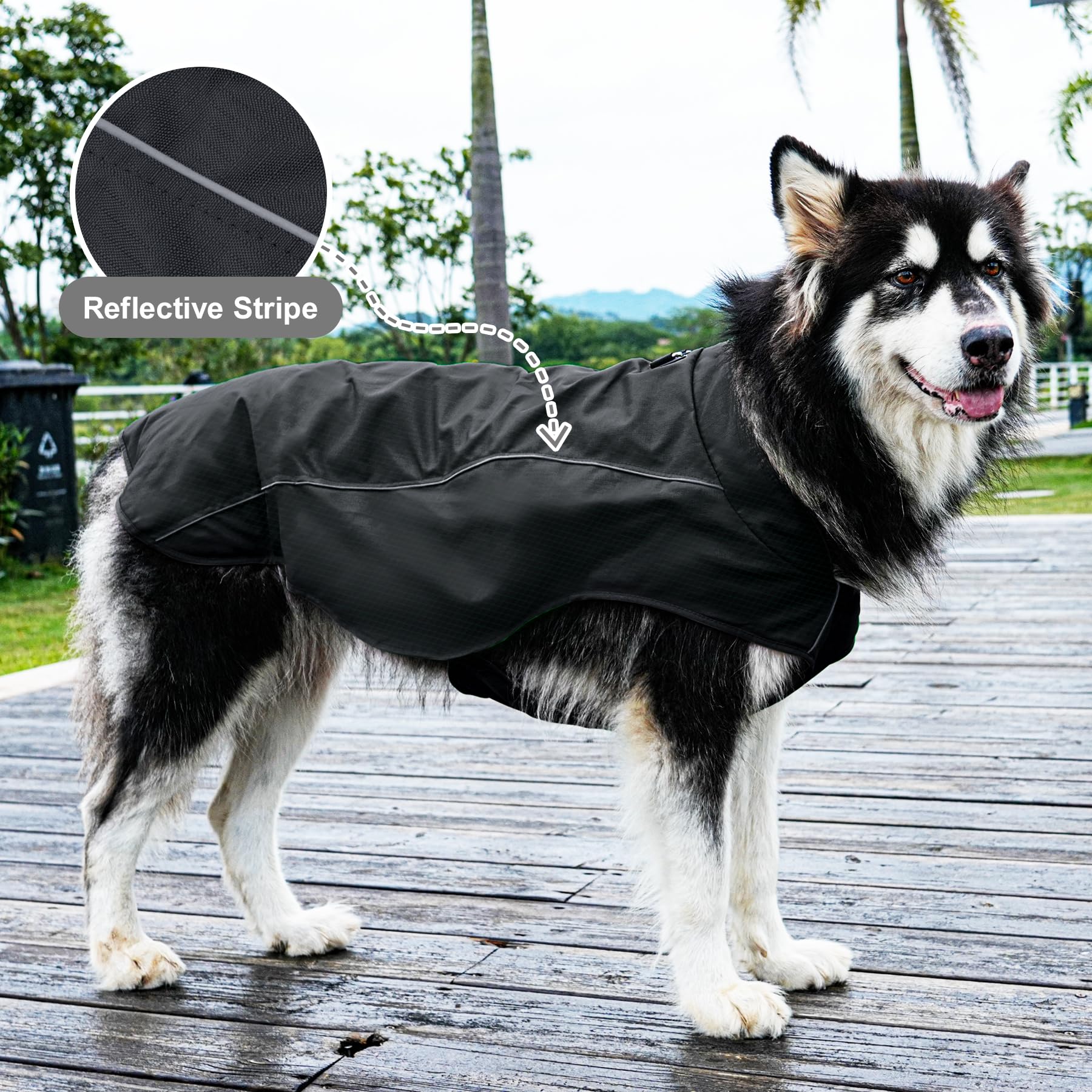 JoyDaog uso versátil en interiores y exteriores para paseos diarios.