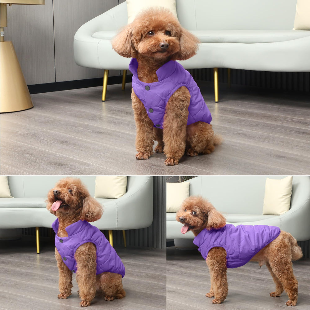 Chaqueta JoyDaog ligera para perro en clima frío