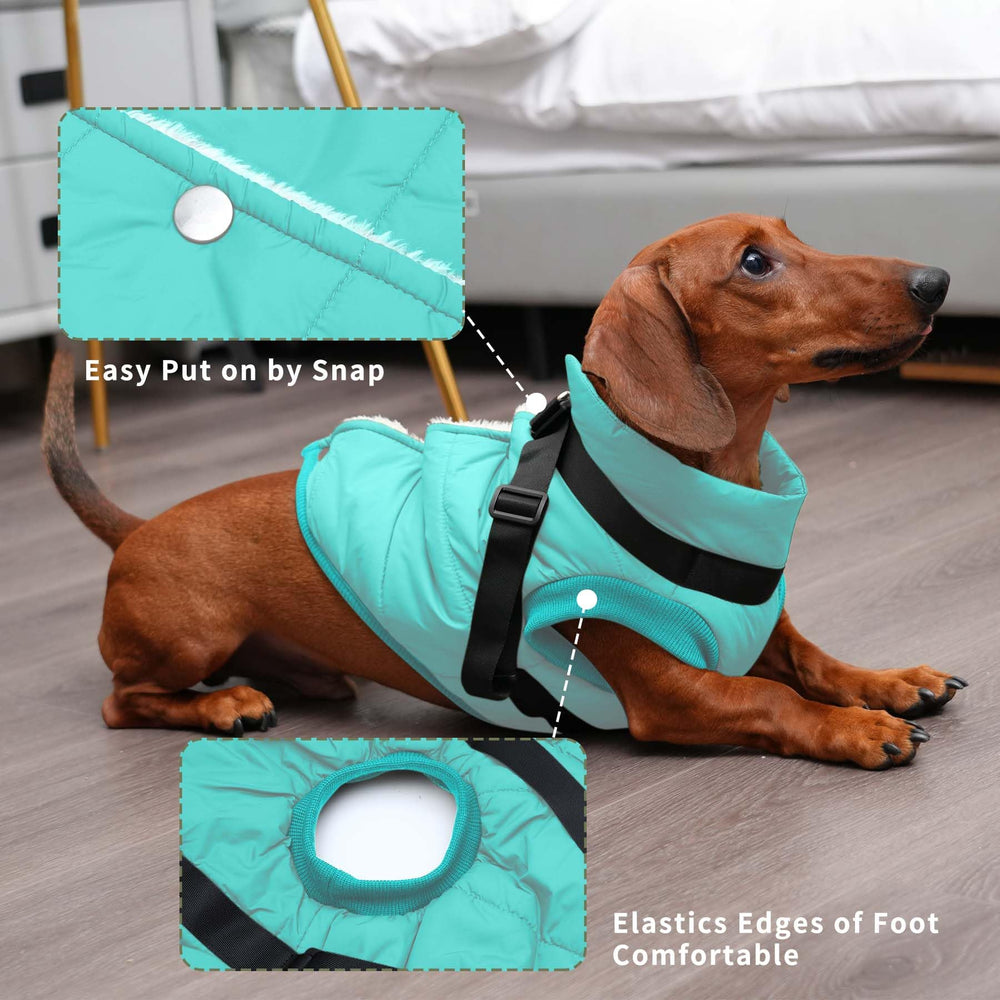 Talla XL JoyDaog con medidas específicas para un ajuste preciso.