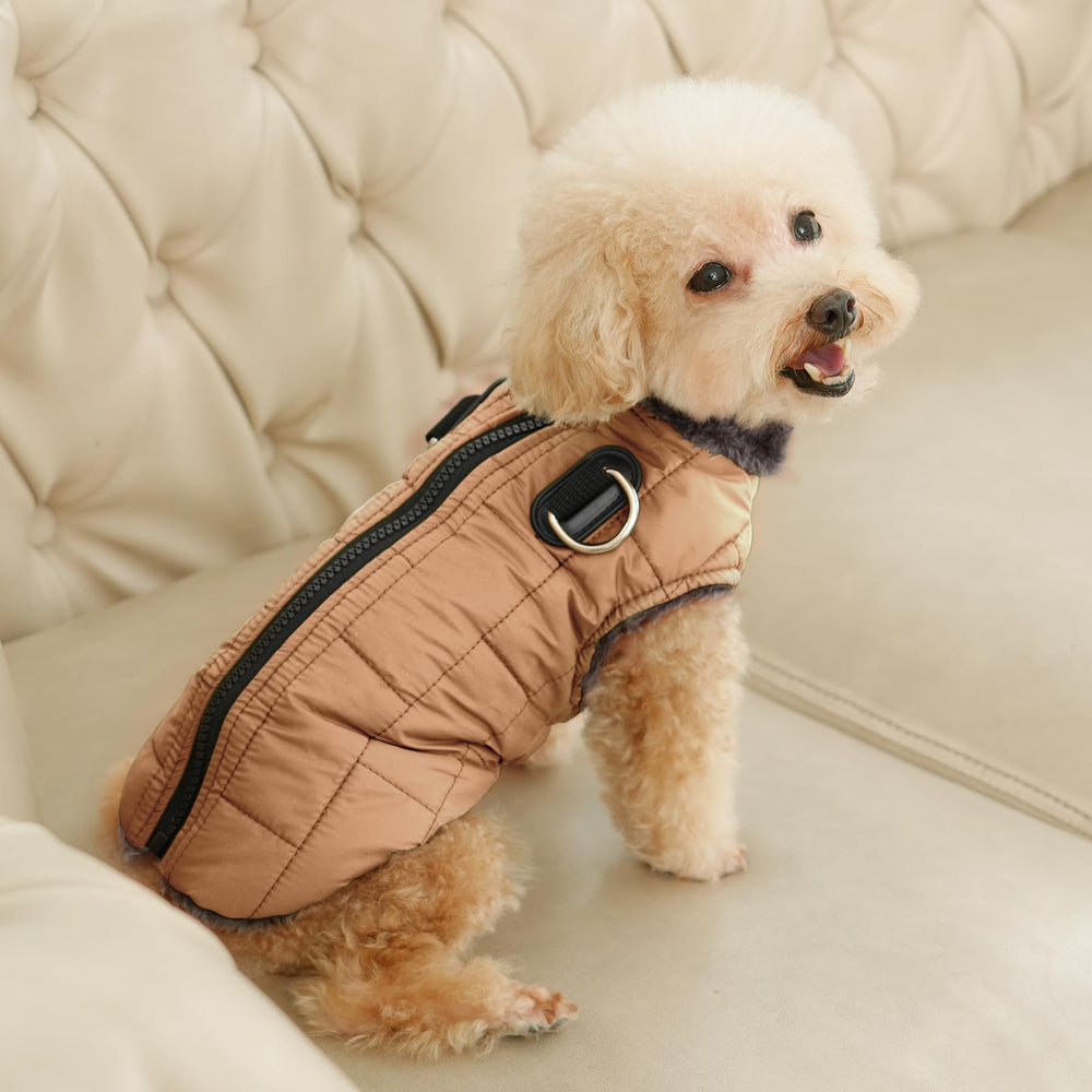 JoyDaog chaqueta talla XXXL para perros grandes