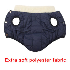 JoyDaog chaqueta para perro, espalda con barra simétrica, look elegante y protección.
