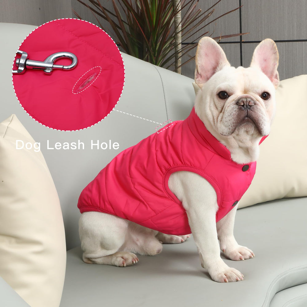 JoyDaog diseño resistente al viento, mantiene al perro cómodo