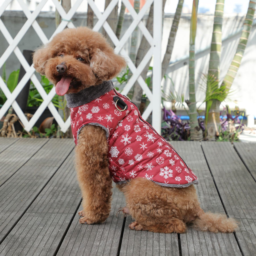 JoyDaog diseño nieve rojo perfecto para perros grandes