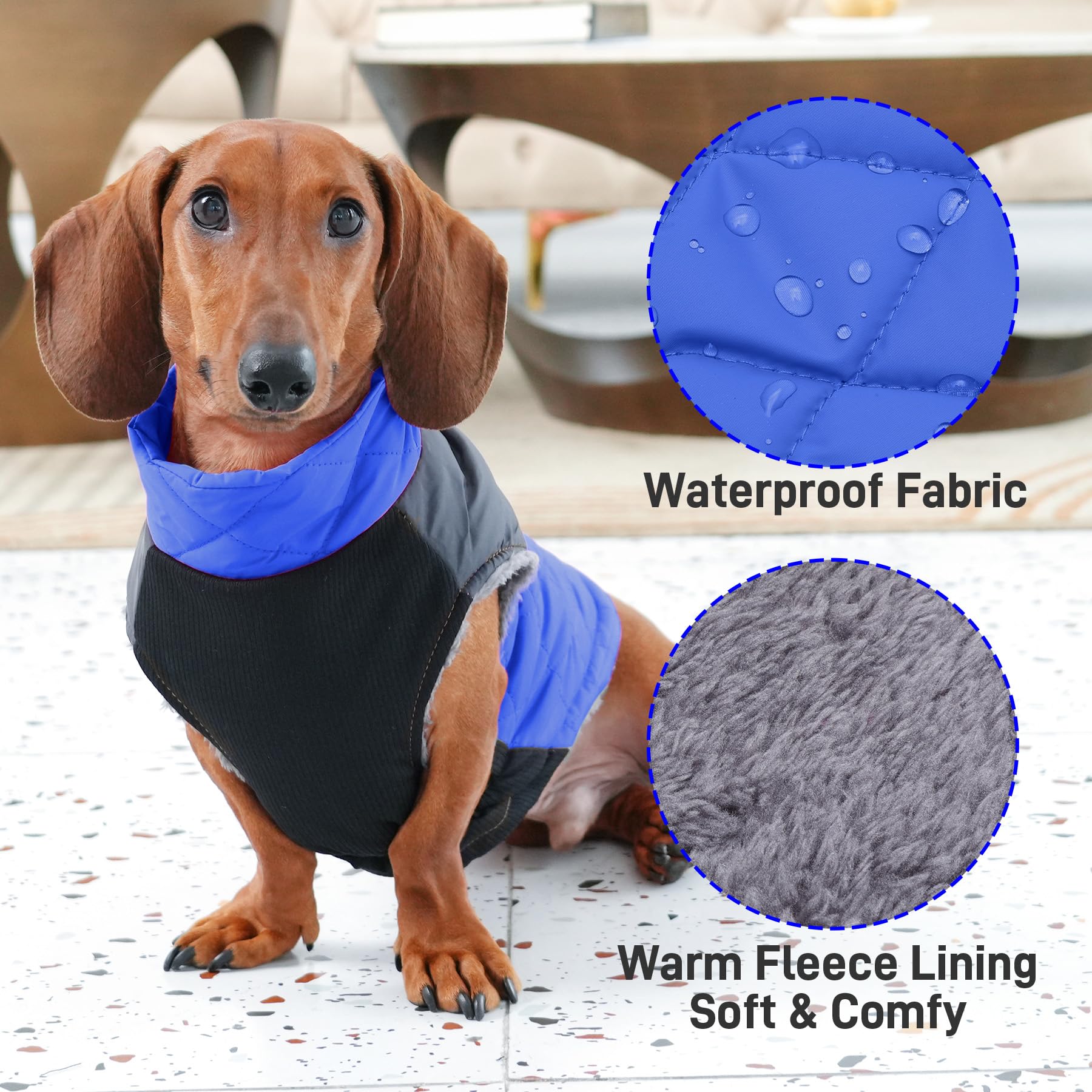 JoyDaog diseño abdominal elástico para mayor comodidad