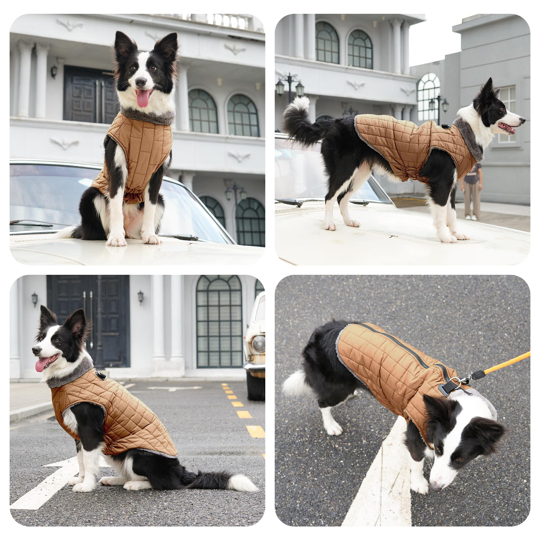 JoyDaog forro polar cálido para mayor comodidad.