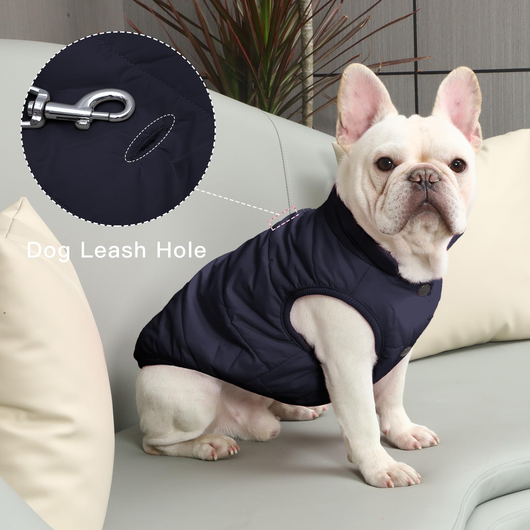 JoyDaog chaqueta con costuras duraderas, uso diario fiable.