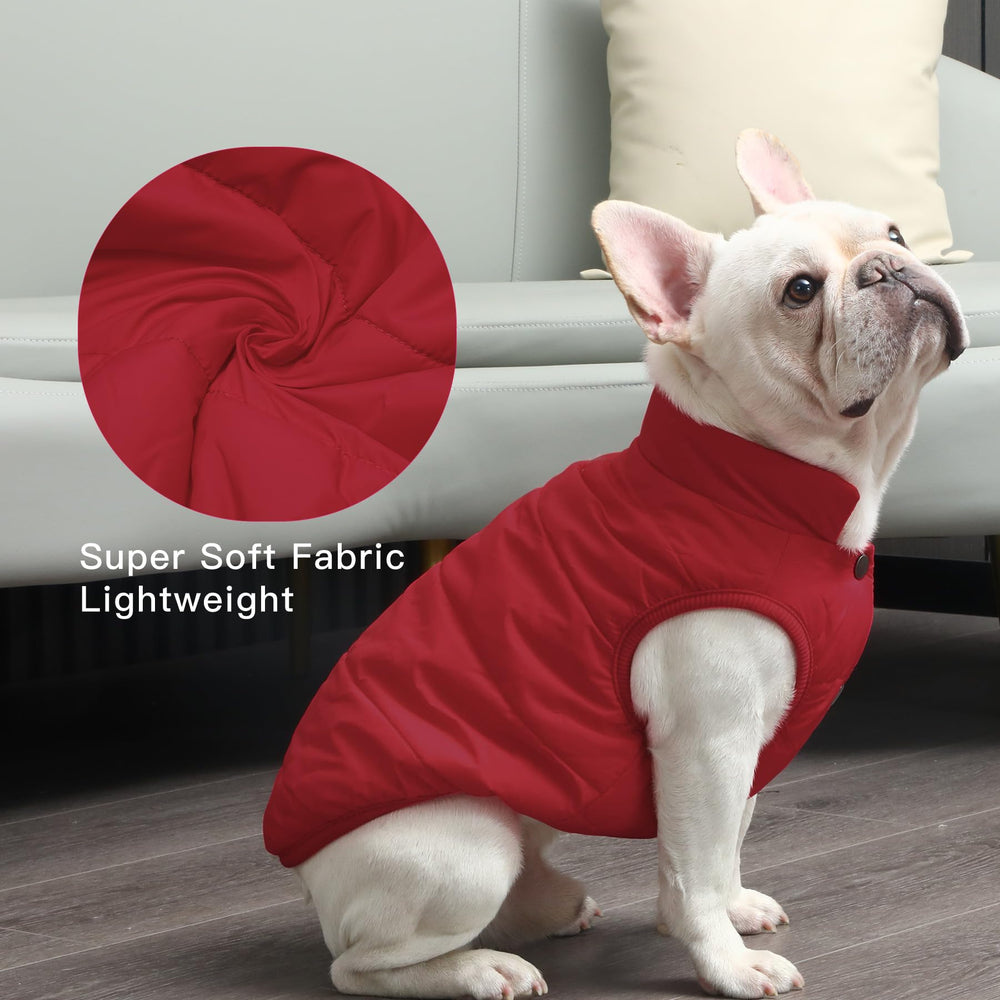 JoyDaog jaqueta para perro borde elástico cintura: borde elástico en cintura para mejor ajuste.