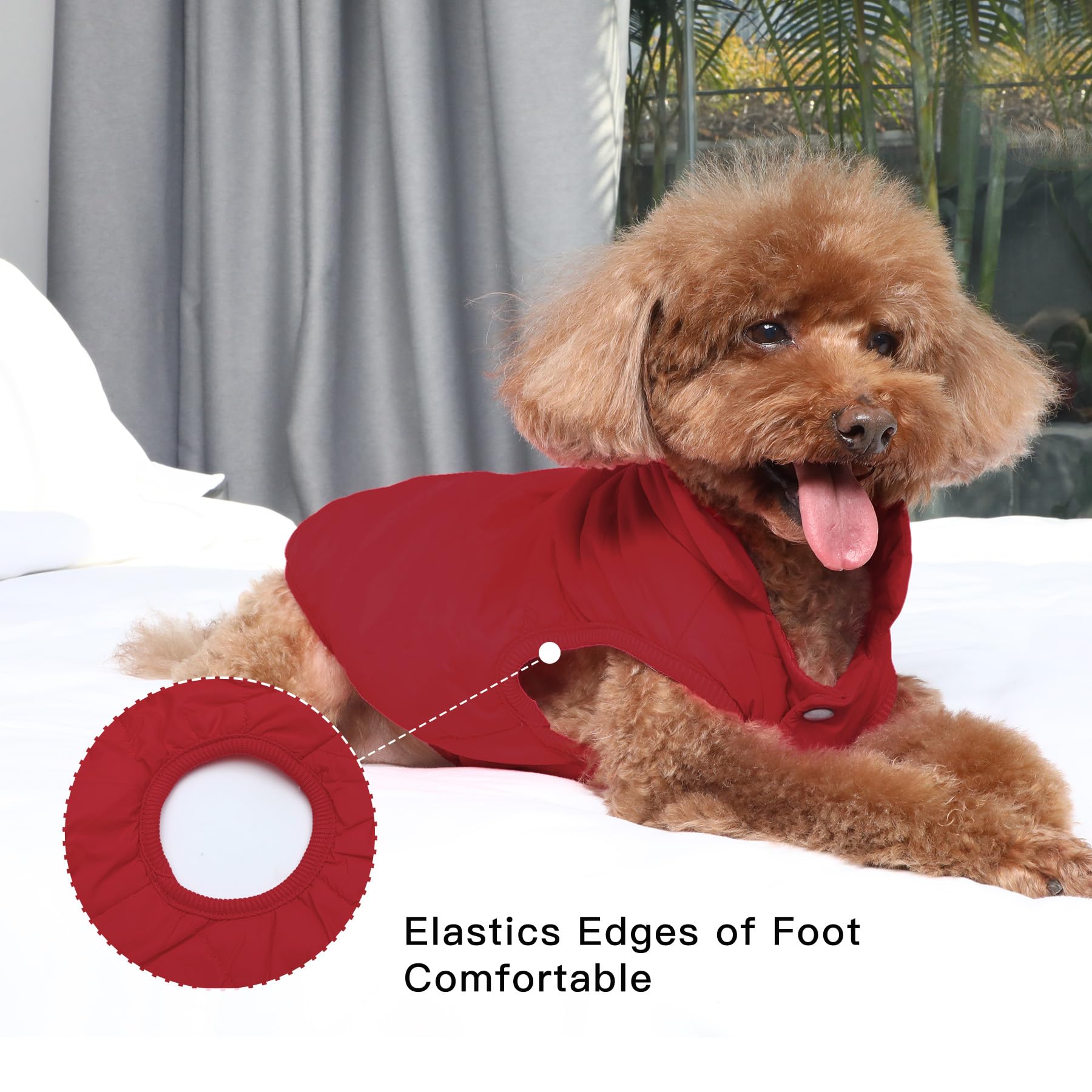 JoyDaog jaqueta para perro borde elástico patas: bordes elásticos aseguran el ajuste.