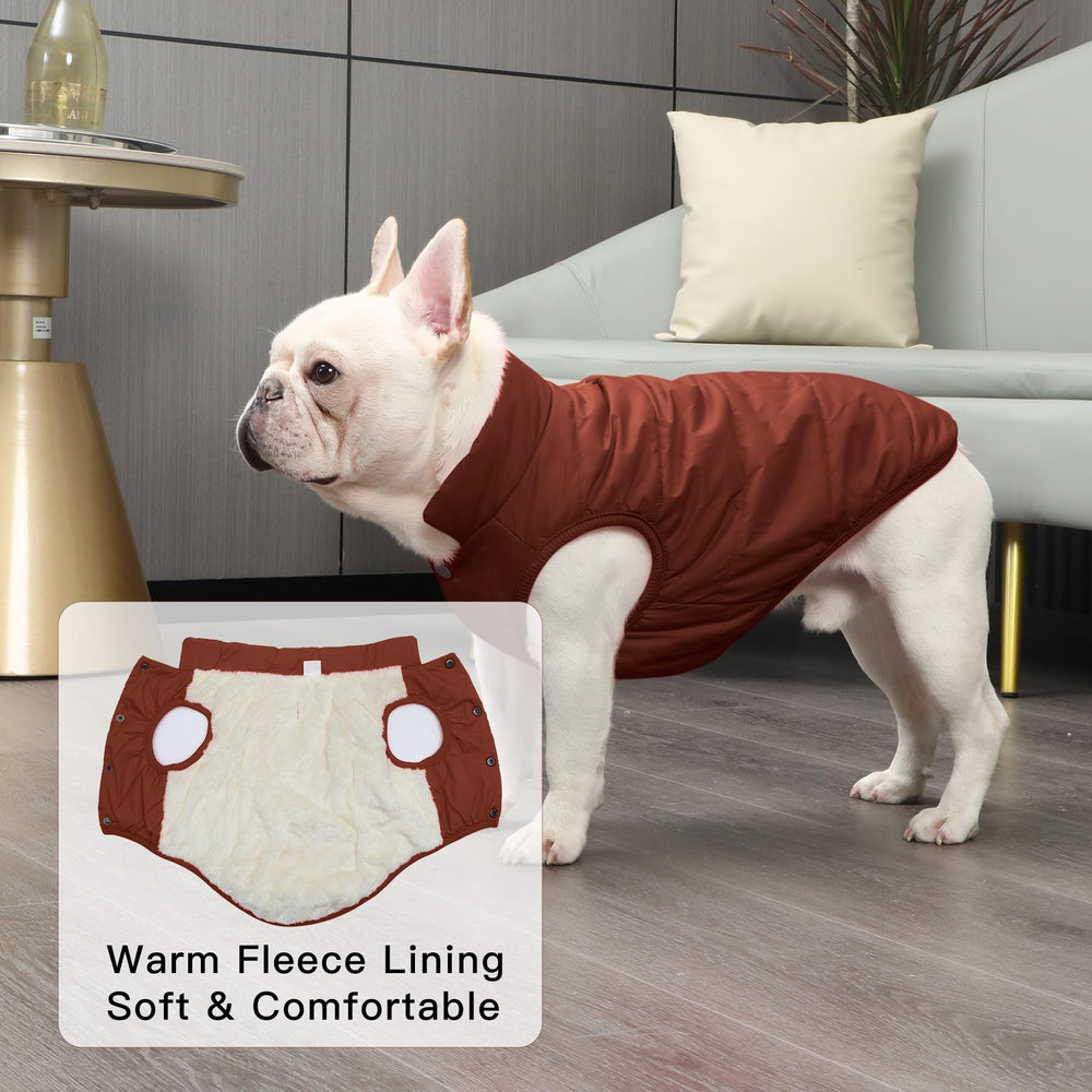 JoyDaog chaqueta con agujero para la correa en el cuello para paseos seguros
