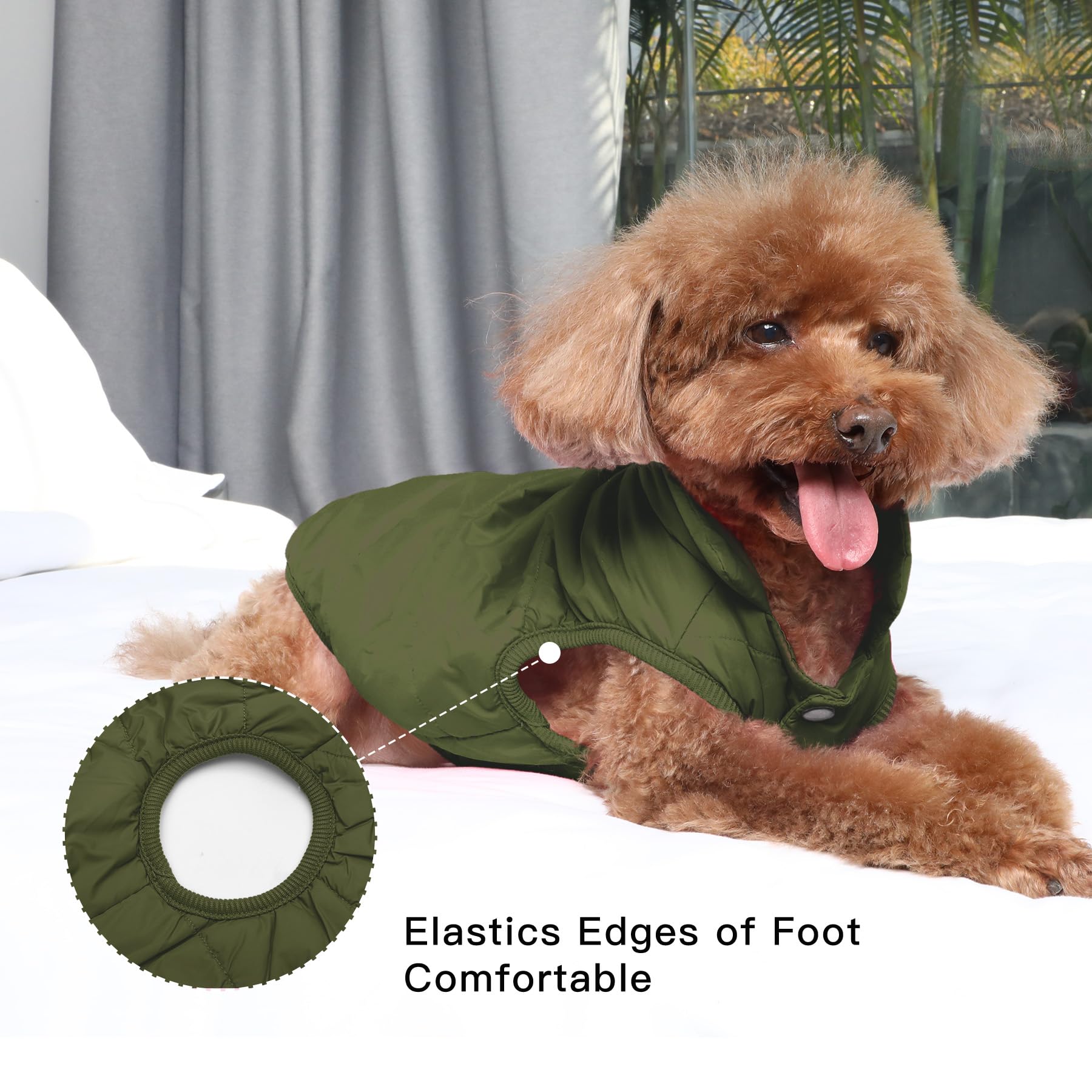Protección contra viento en la chaqueta JoyDaog para perros pequeños durante paseos urbanos.