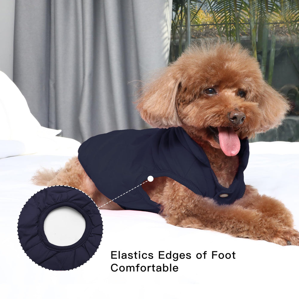 JoyDaog chaqueta ligera y adecuada para caminatas.