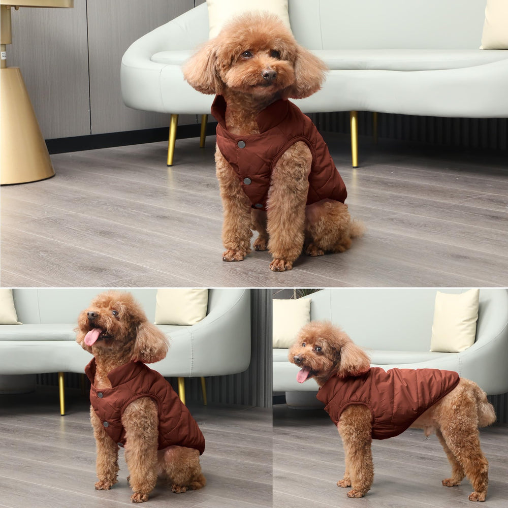 JoyDaog chaqueta protección contra viento para paseos en frío
