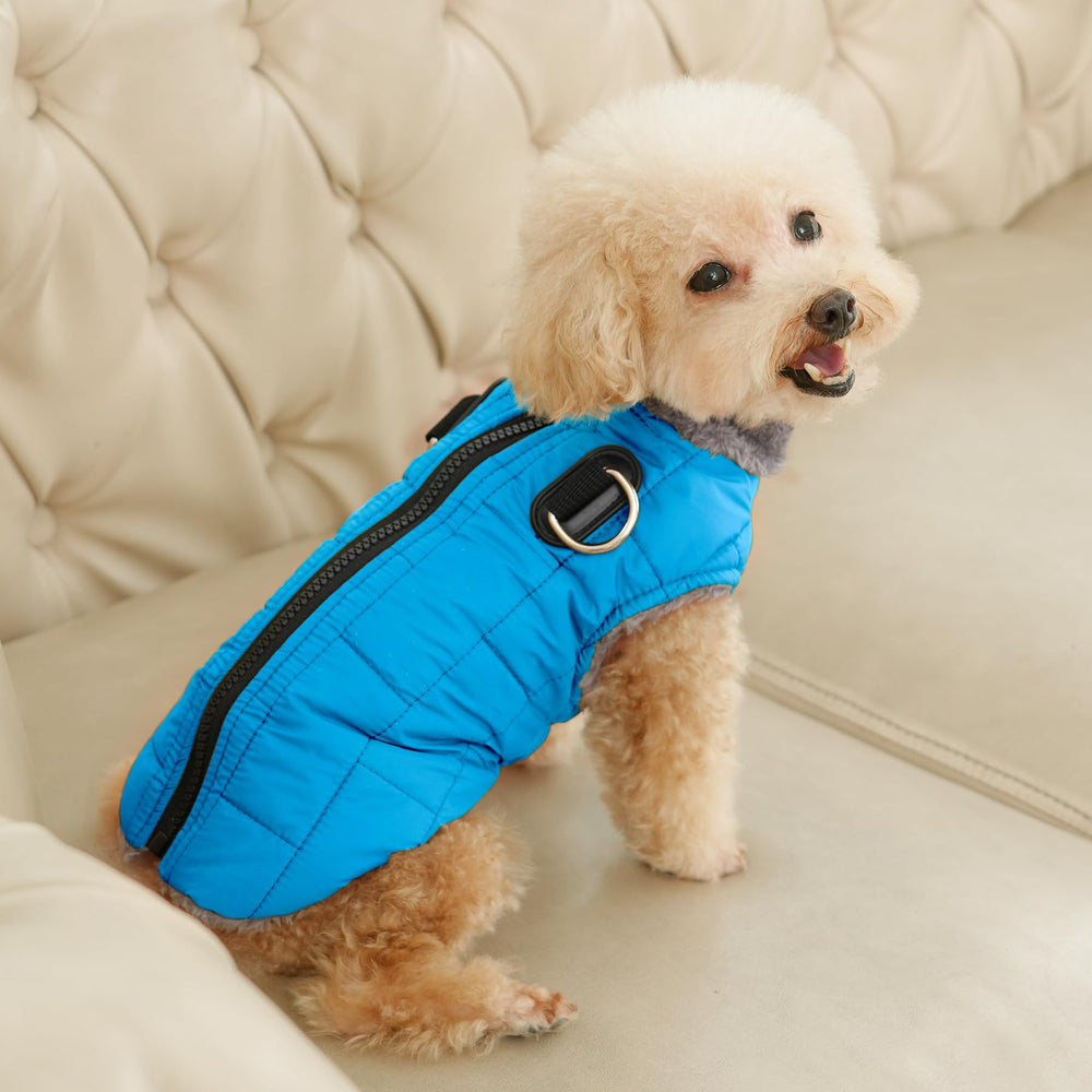 JoyDaog jaqueta impermeable para perro, mantiene seco durante la lluvia.