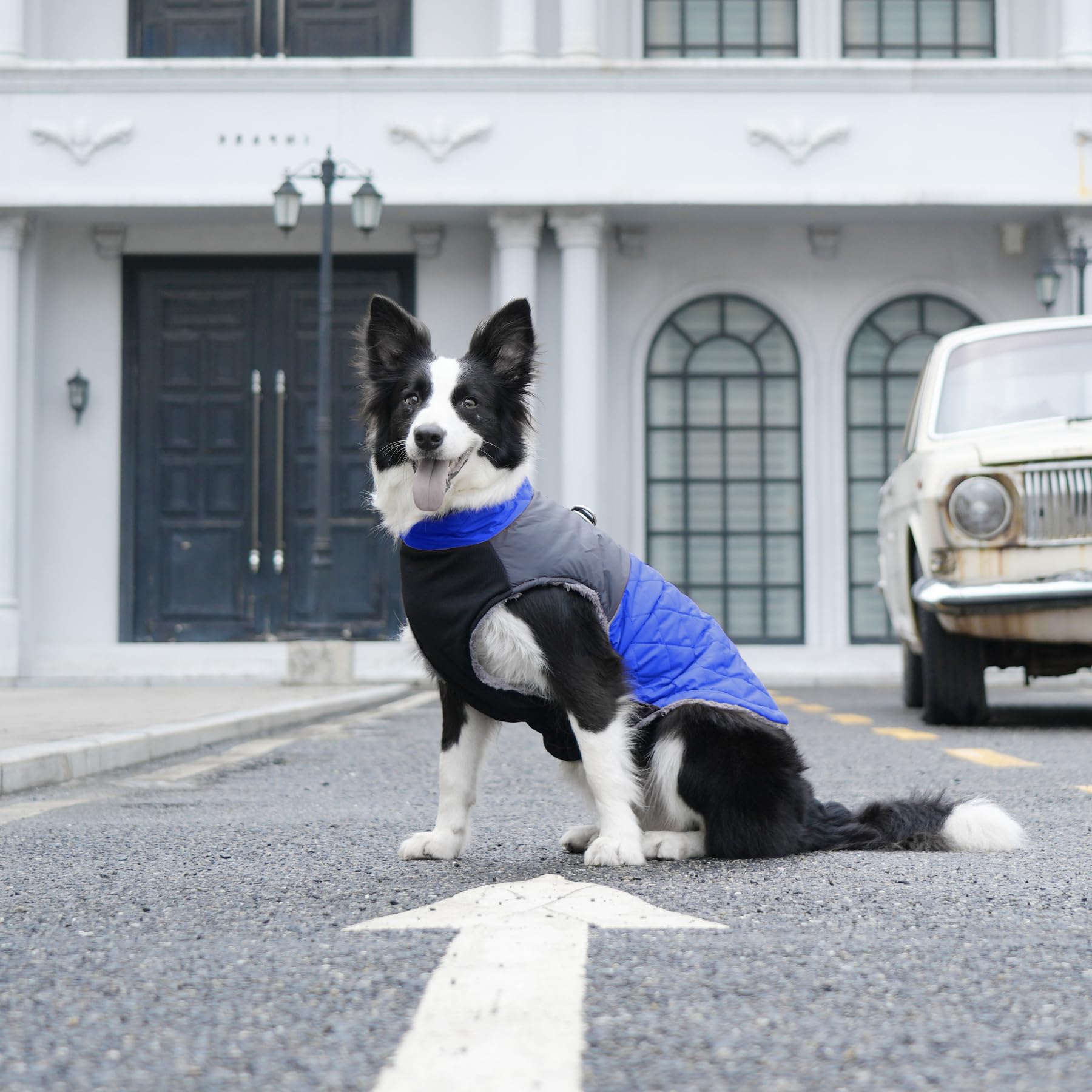 JoyDaog lavable a máquina para mantenimiento fácil.