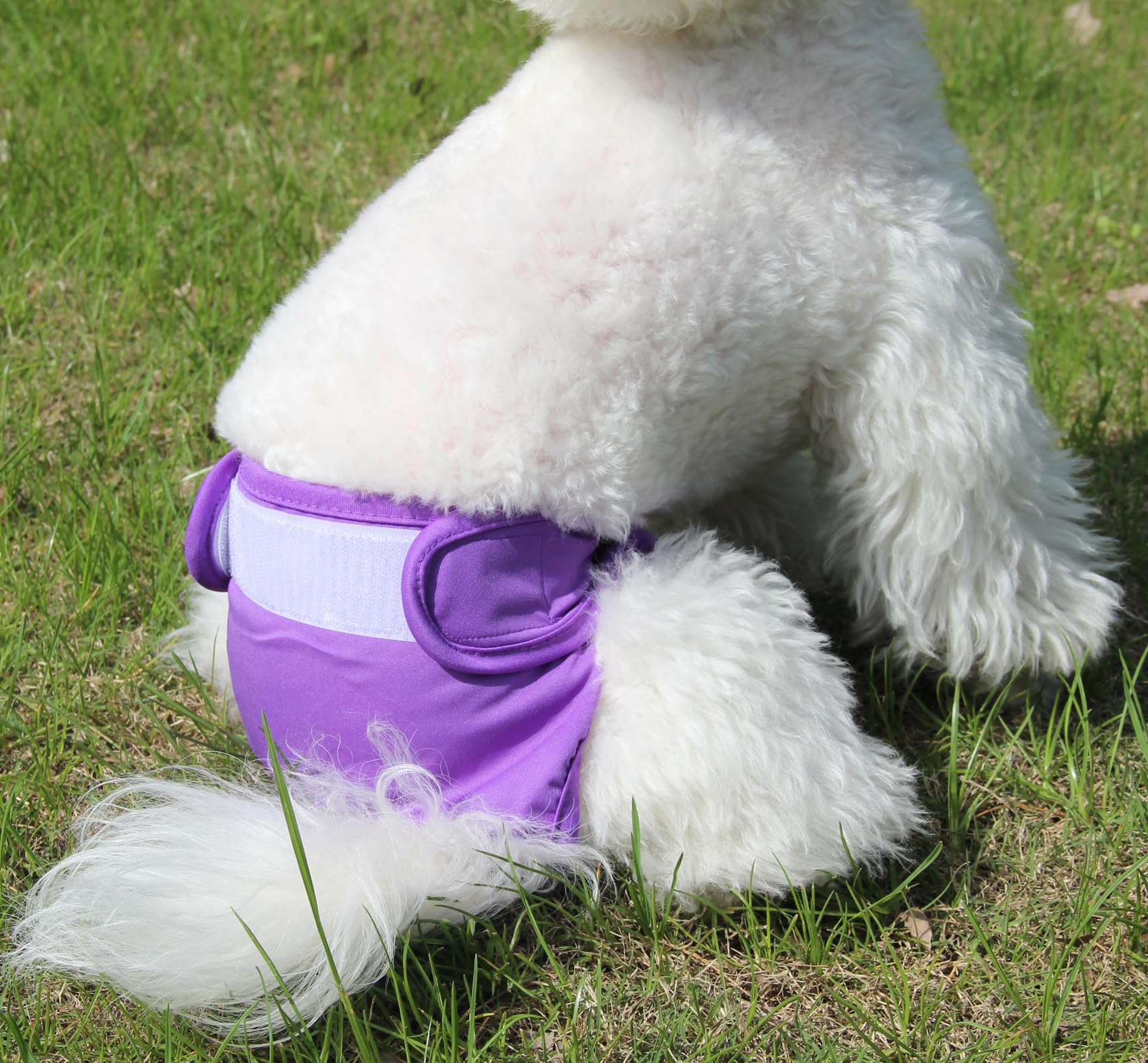 JoyDaog pañales para perra XXL con absorción doble para mayor protección.