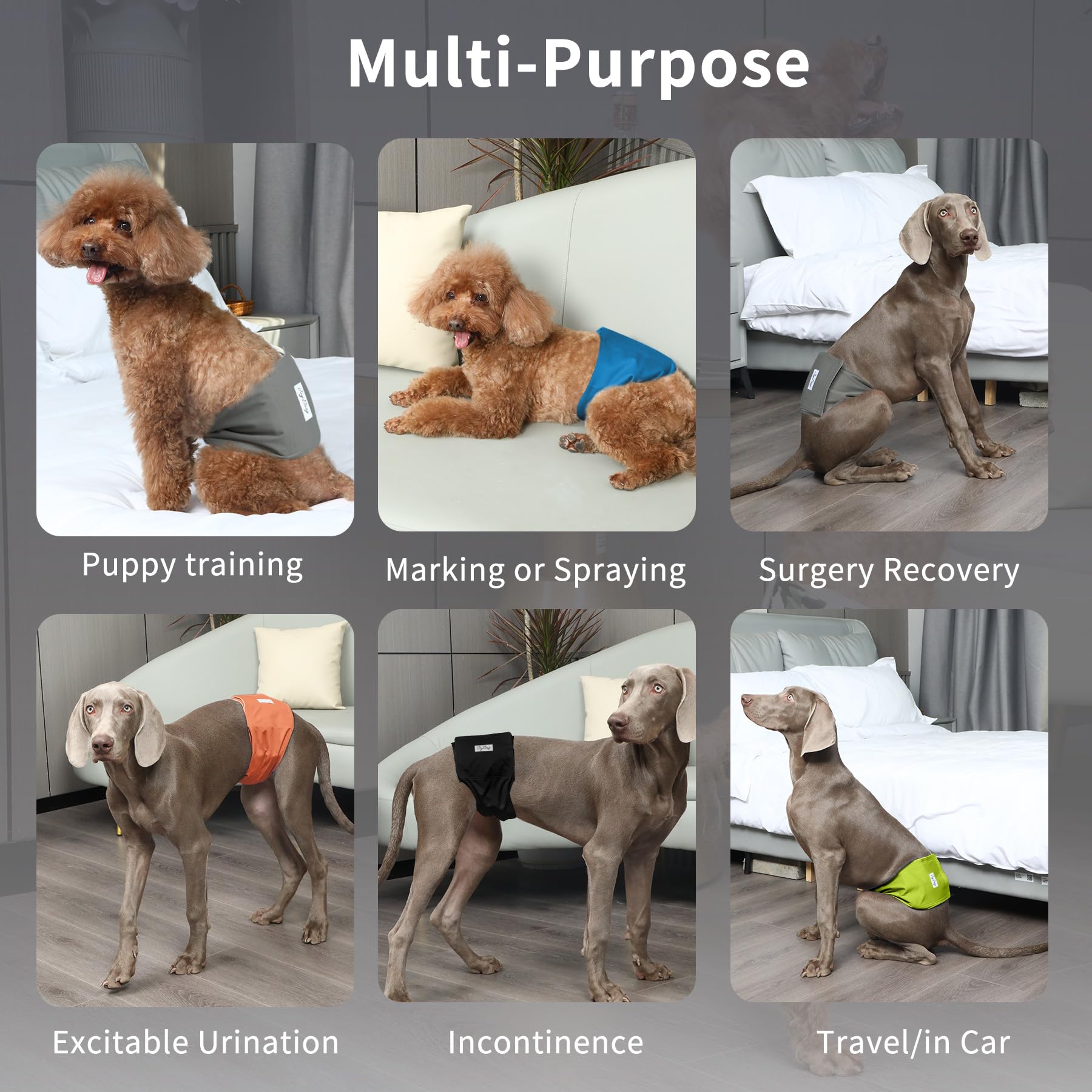 JoyDaog pañales para perro macho, doble capa de microfibra para mayor protección.