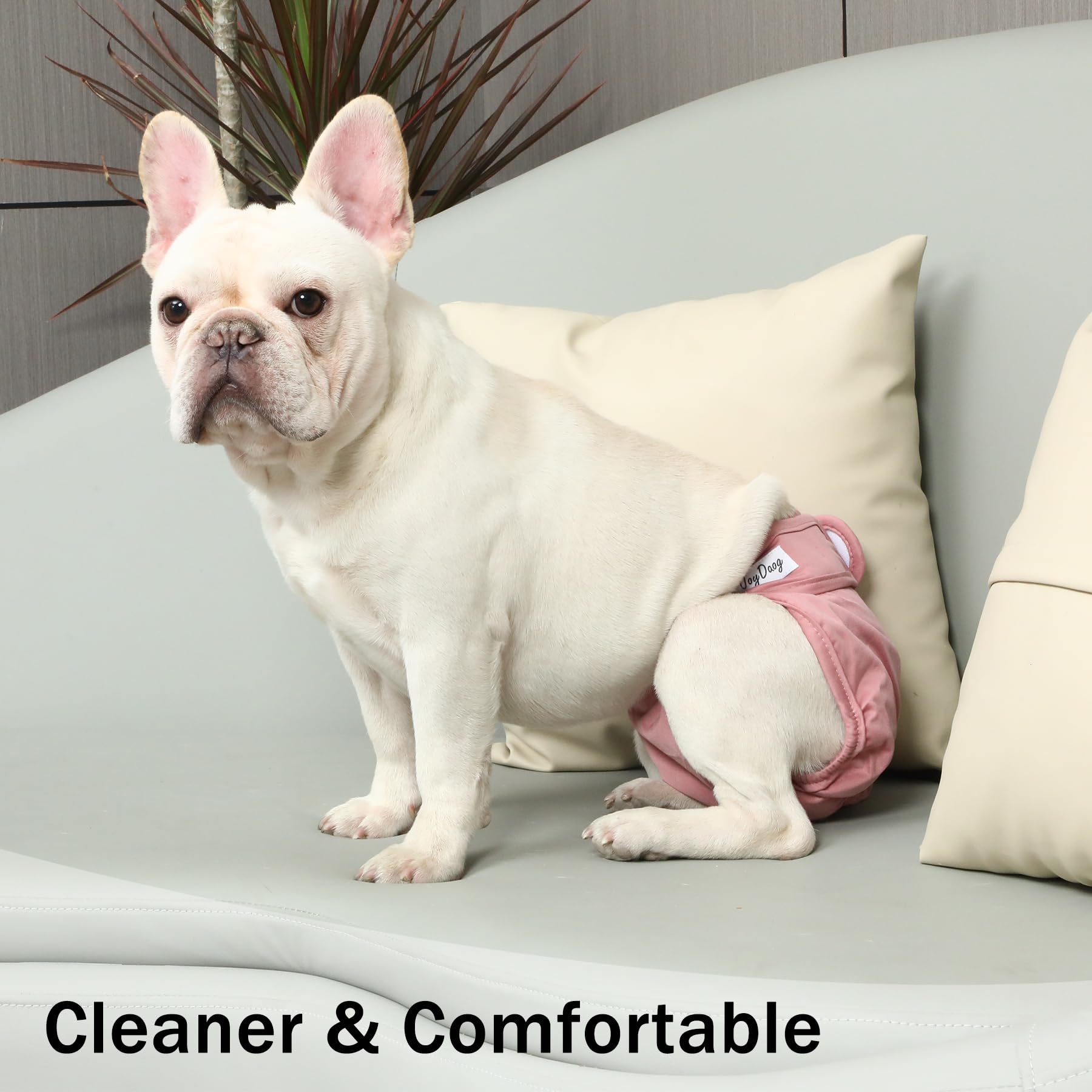 JoyDaog pañales para perro medio en colores sólidos para estilo diario