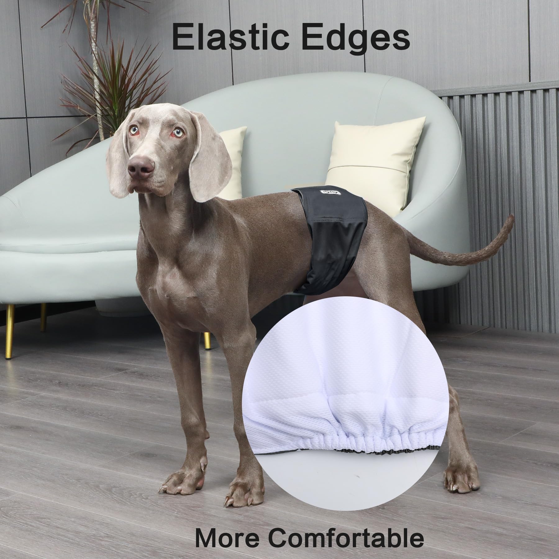 JoyDaog capa exterior impermeable previene manchas en alfombras y muebles.