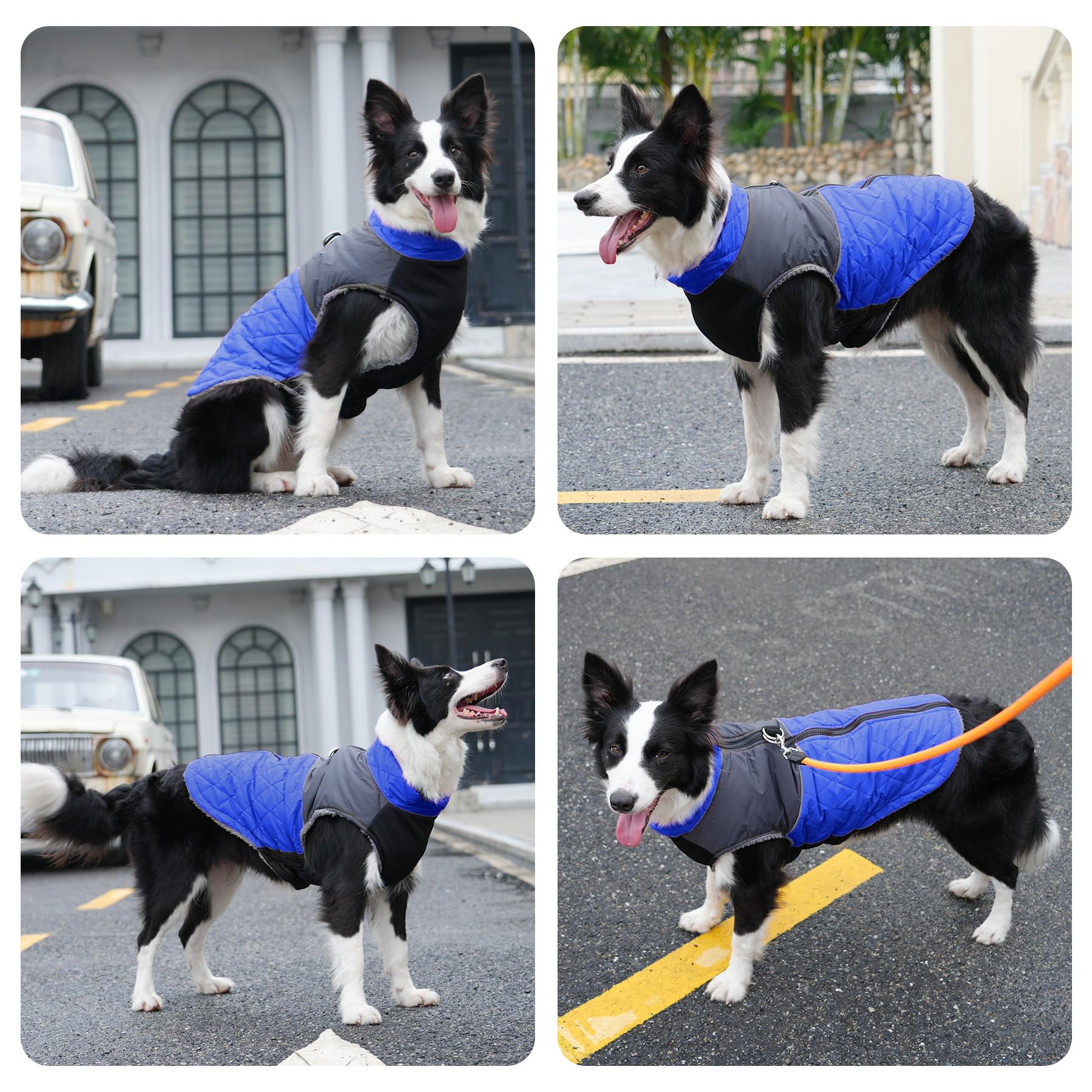 JoyDaog protección contra frío para salidas invernales