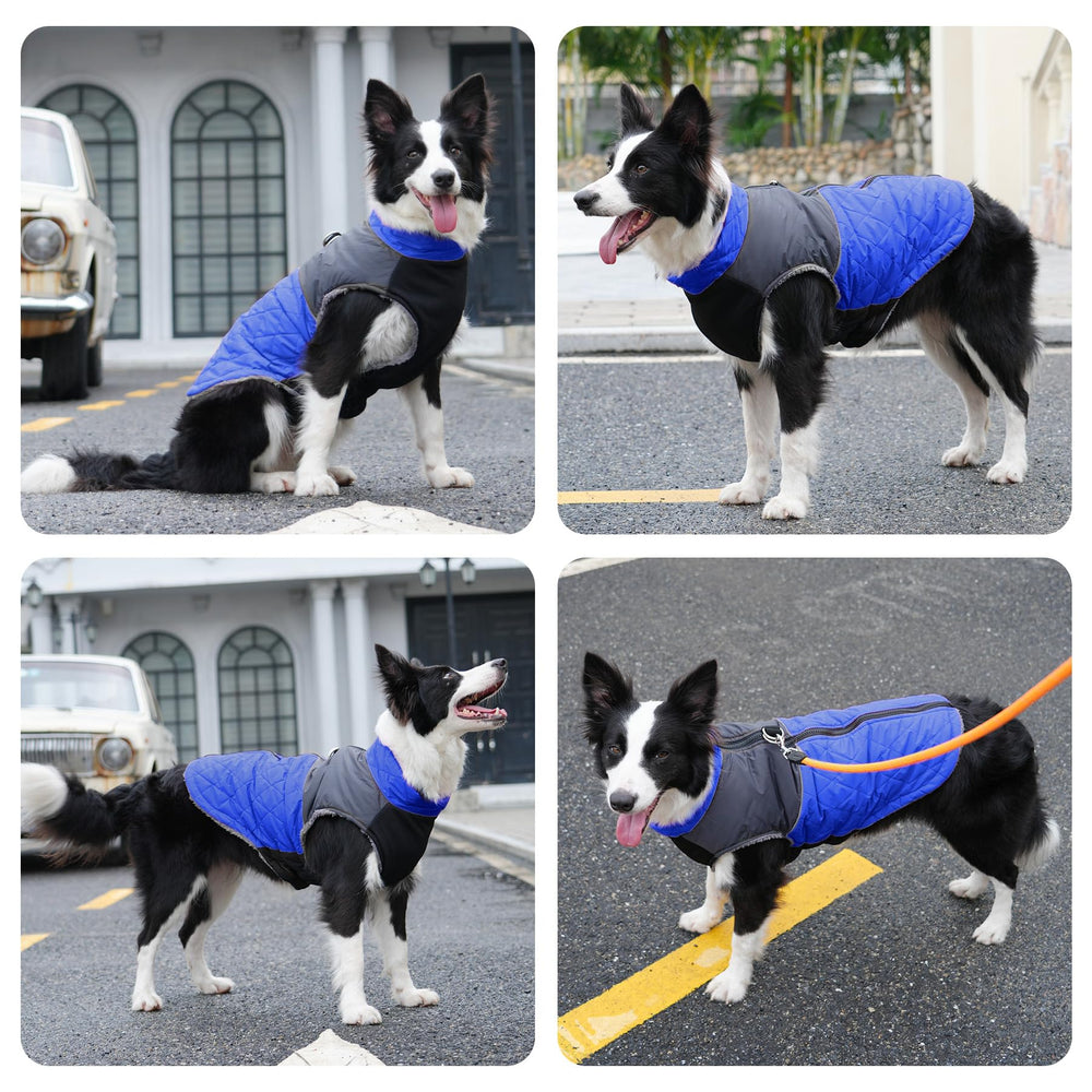 JoyDaog protección contra frío para salidas invernales