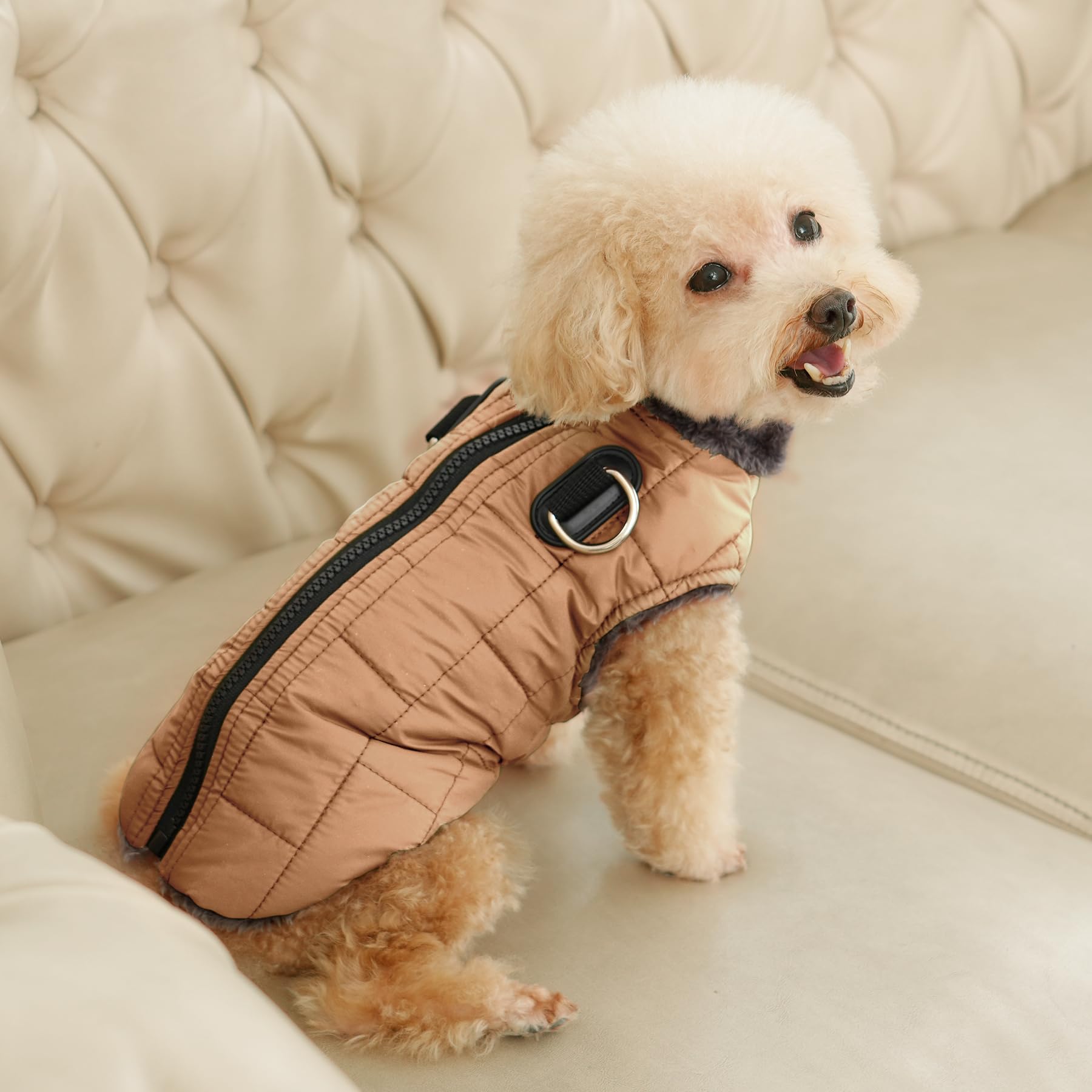 JoyDaog talla XXL con medidas de pecho y cuello para perros grandes.