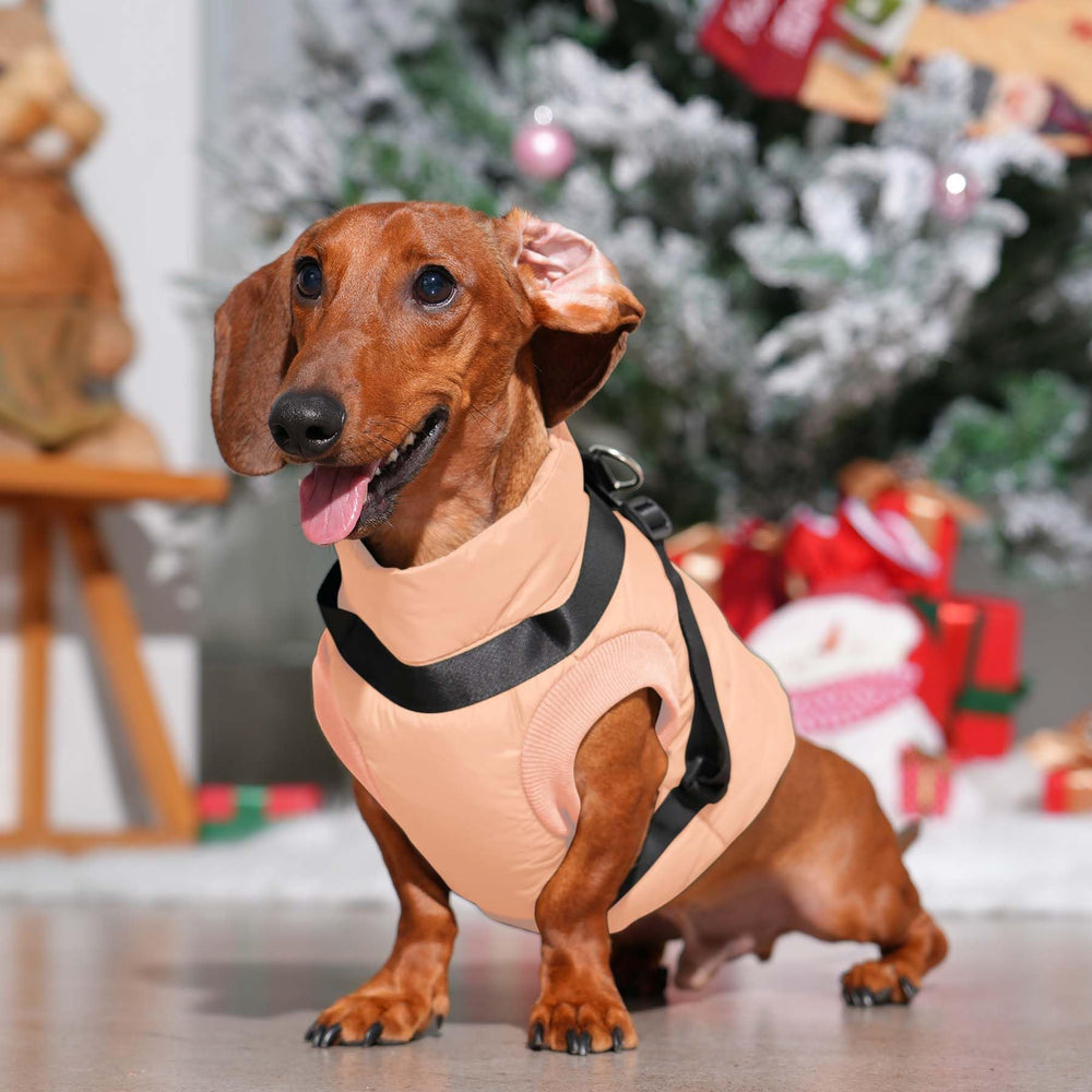 JoyDaog tejido exterior resistente al viento mantiene al perro cómodo.