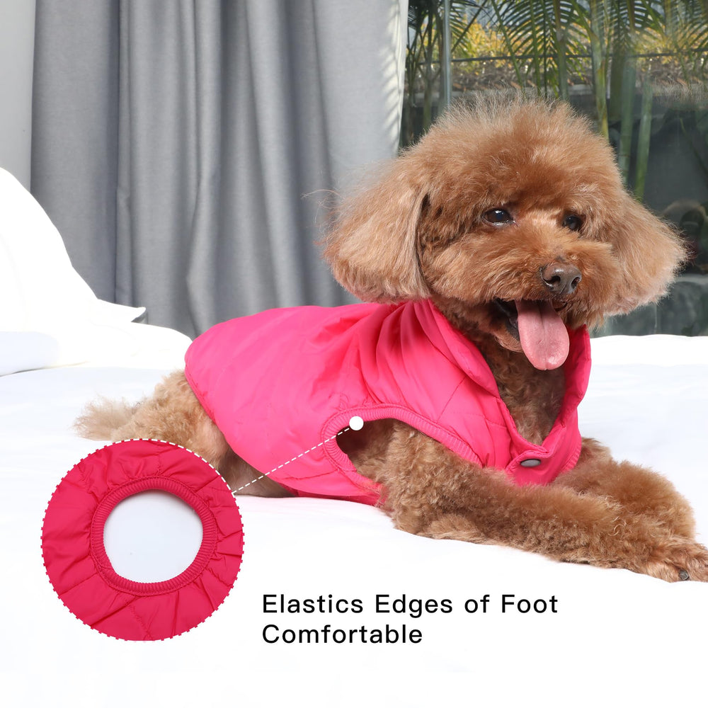 JoyDaog uso de invierno, confort suave para paseos