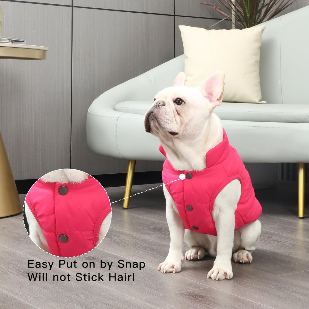 JoyDaog vista general de chaqueta para perros pequeños en invierno.