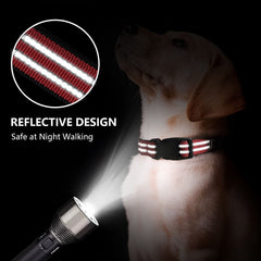 Joyeeiioo collar martingala reflectivo para mayor visibilidad nocturna.