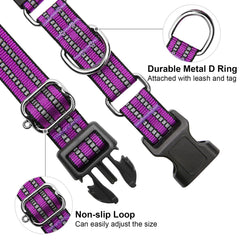Joyeeiioo collar con cierre rápido facilita poner y quitar con seguridad.