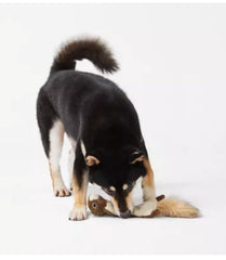 Joyhound peluche para perro: ardilla relajante para descanso.