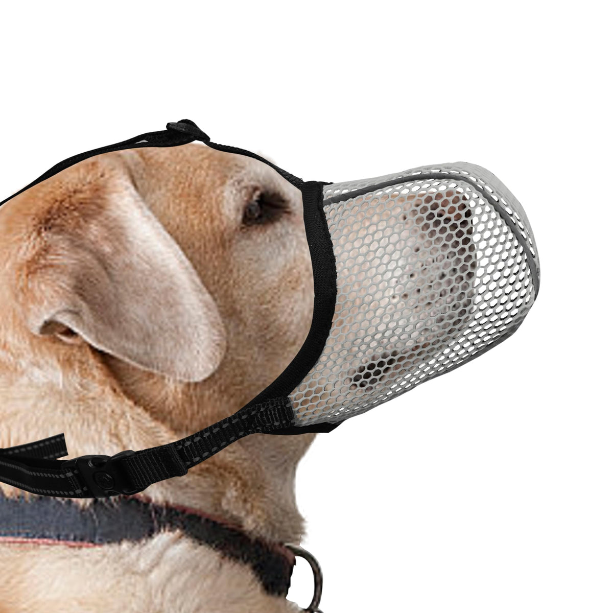 Bozal JOYPAWS para perro grande XL con malla de aire para respirar mejor