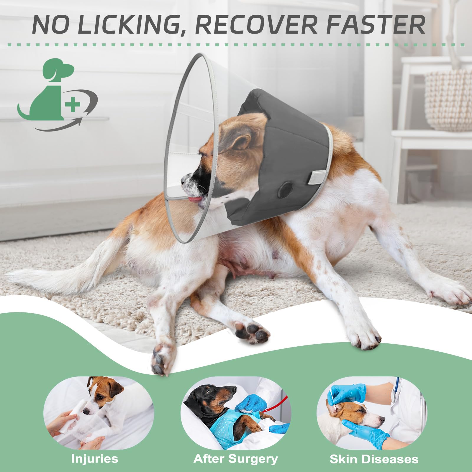 Joypig collar isabelino con ajuste de velcro para un soporte seguro