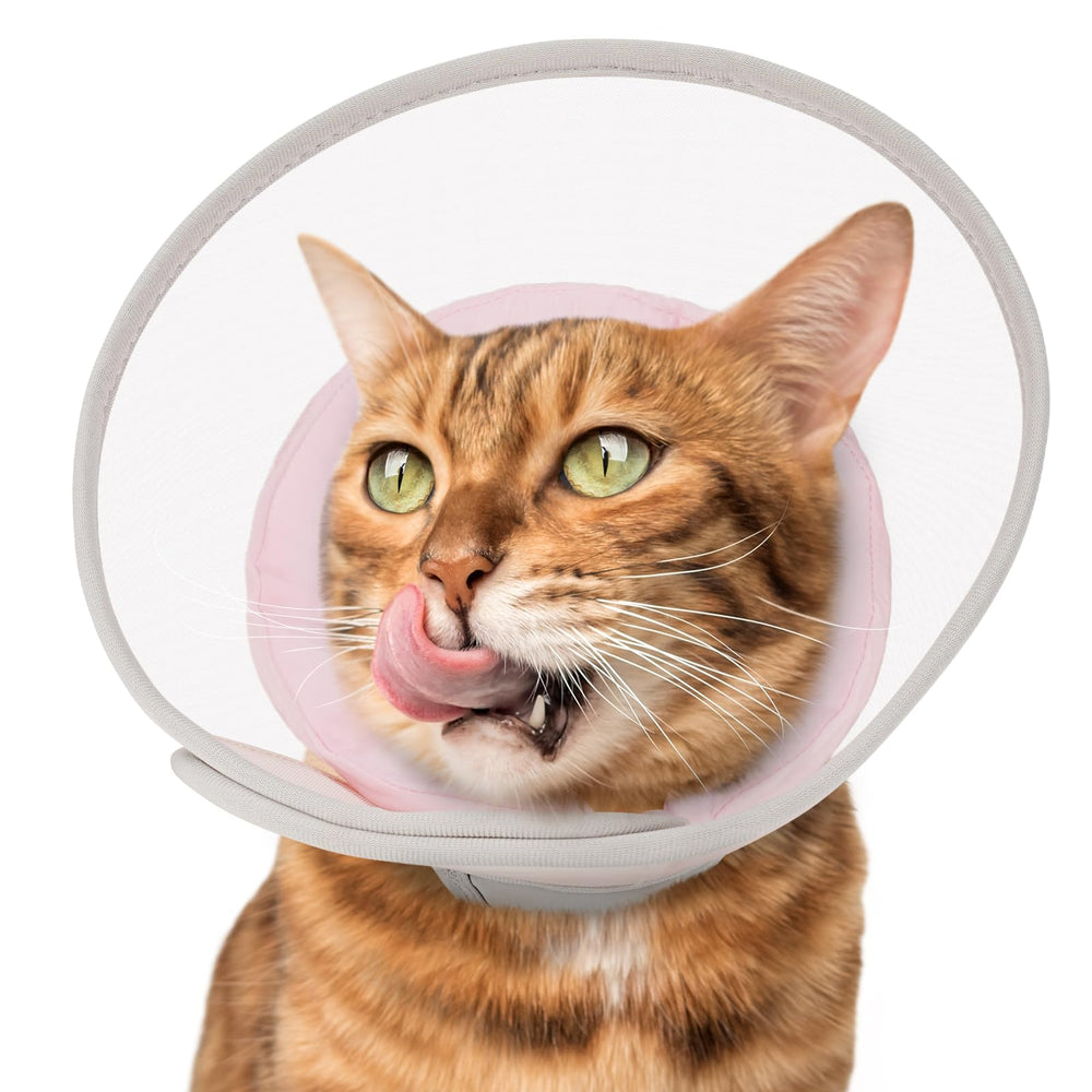Joypig cono gato suave rosado, ideal para recuperación sin lamidos.