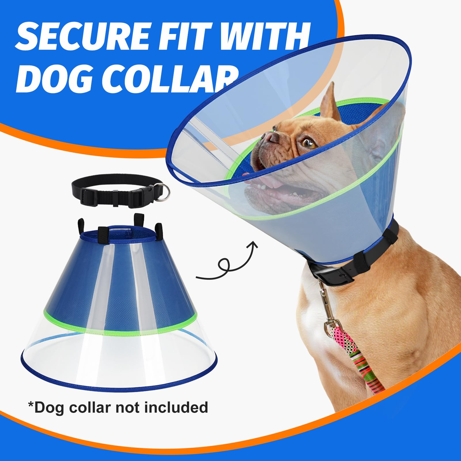 Joypig cono para perro lavado rápido y limpio.