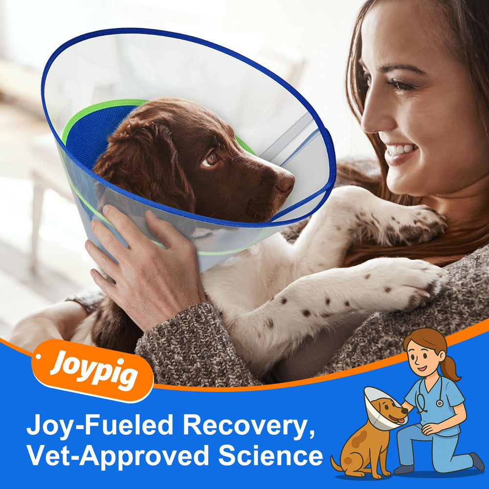 Joypig cono para perro uso posoperatorio cómodo.