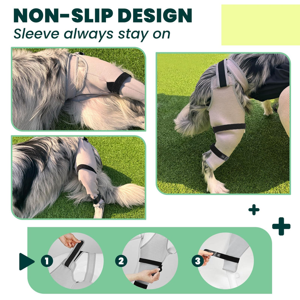 Joypig incluye-soporte-plastico mejora colocación para perros cansados