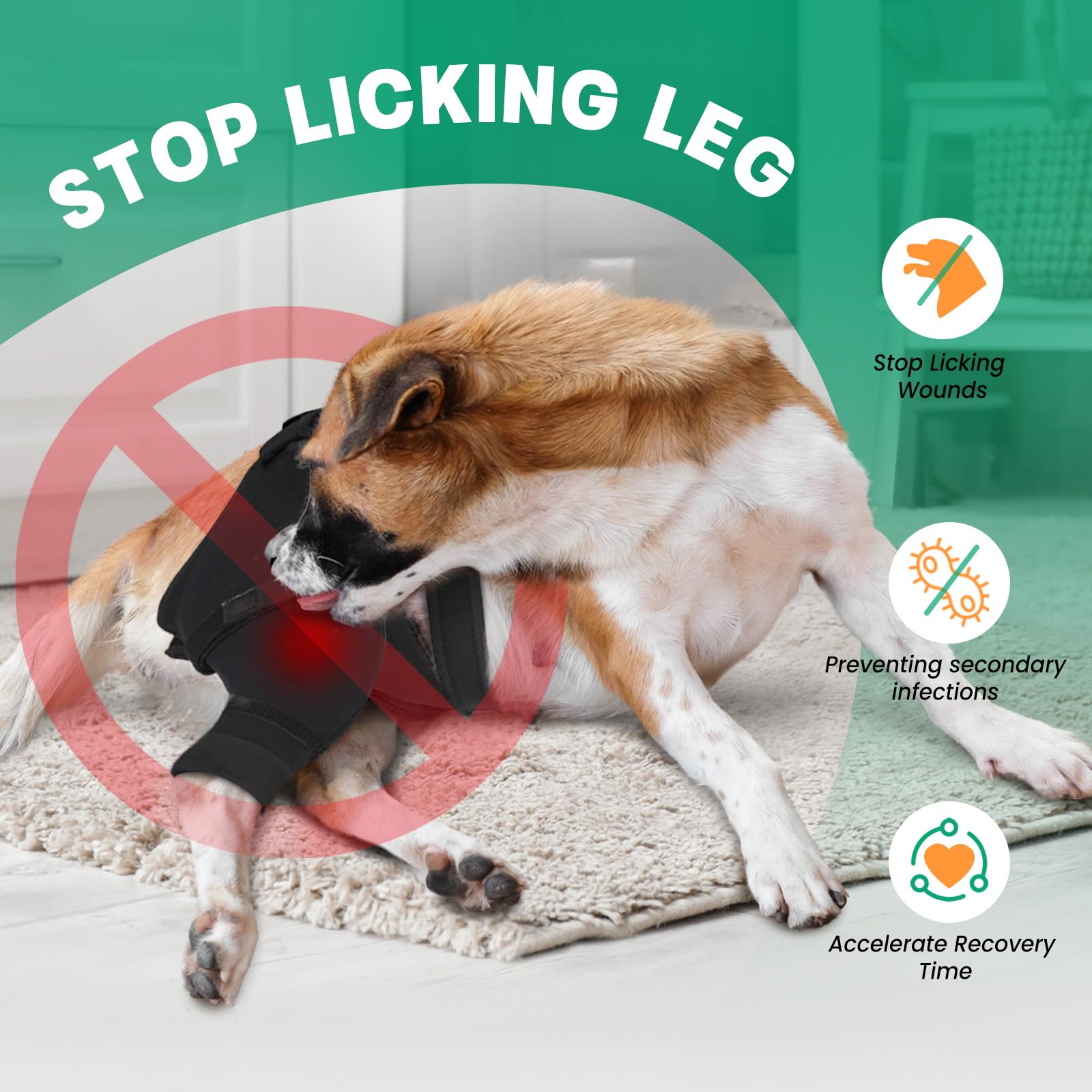 Joypig manguito con ajuste anti-deslizante para perros activos durante recuperación.