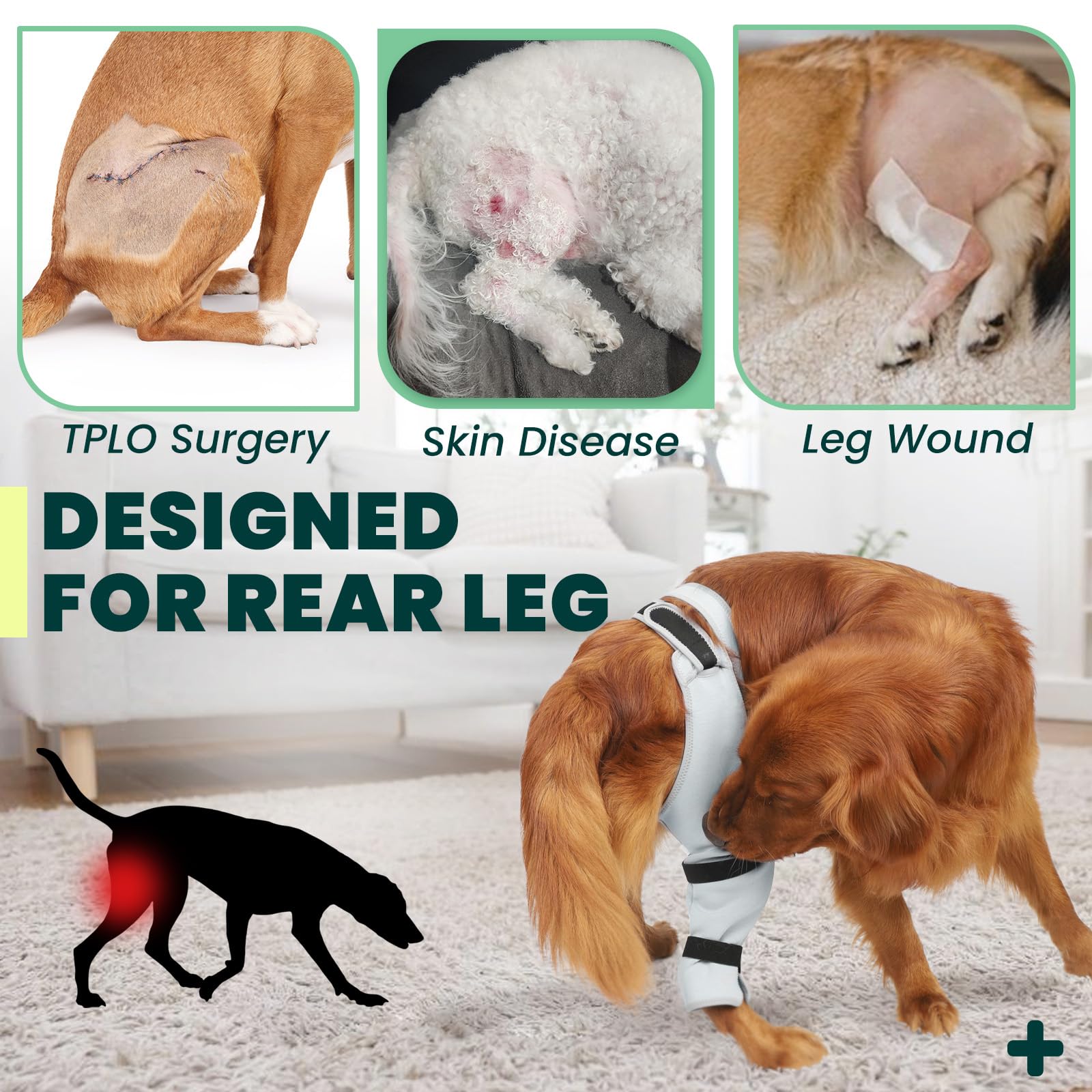 Joypig protección de heridas para perro en recuperación postoperatoria sin irritación