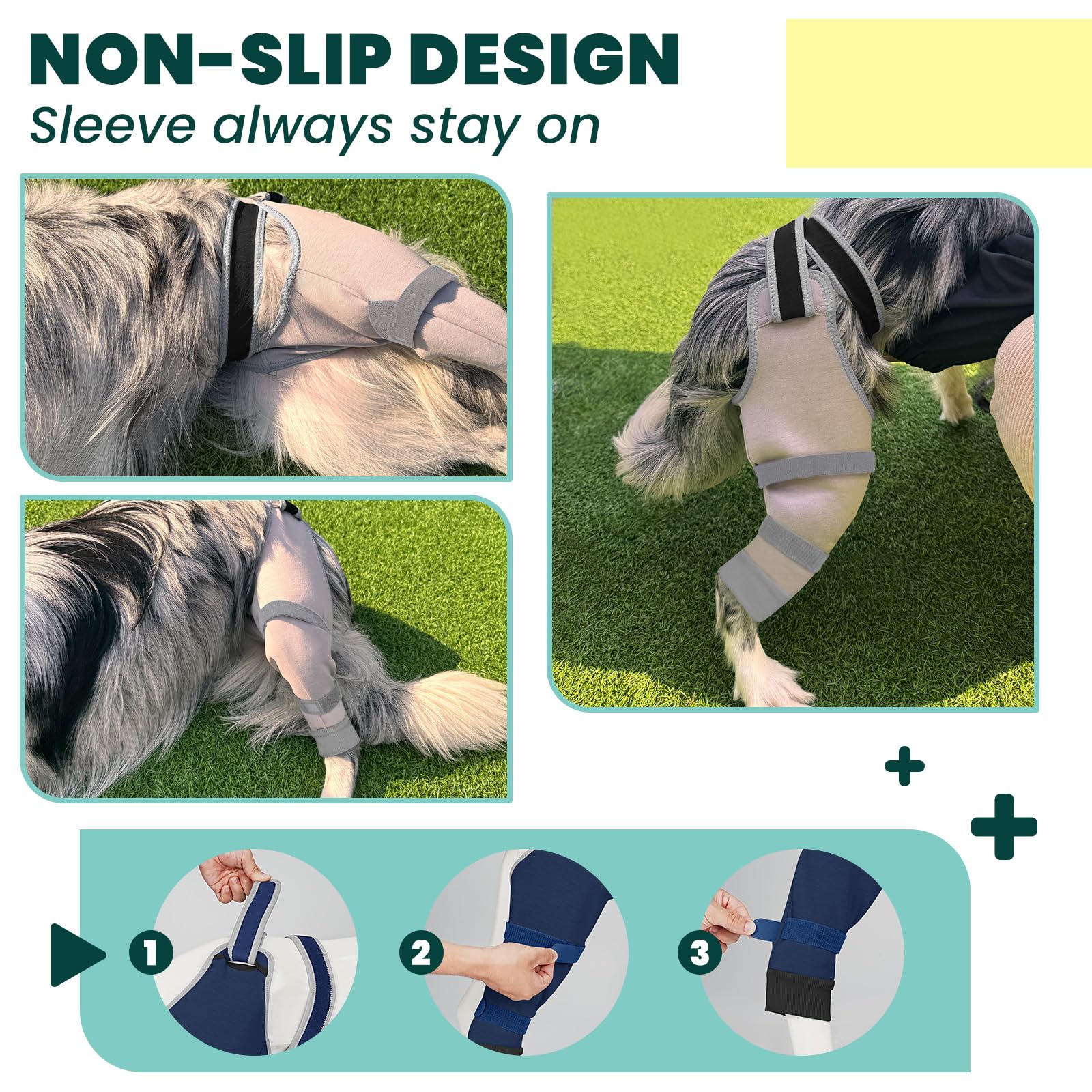 Joypig uso facil-colocacion sin esfuerzo para dueños principiantes.