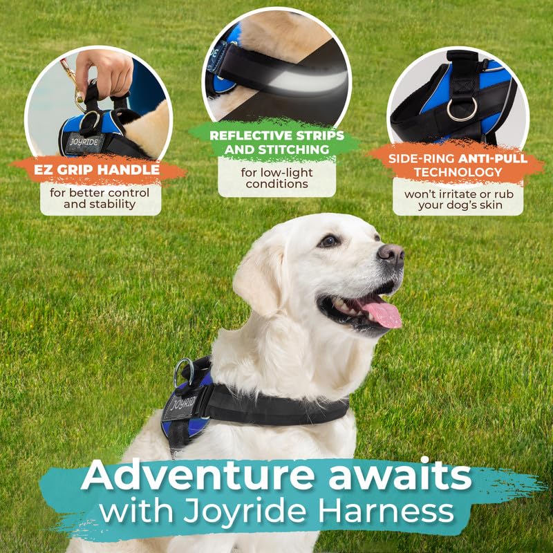 Joyride Harness 2.0: tres clips de correa para mayor versatilidad de entrenamiento